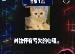 娱乐综艺吃瓜八卦