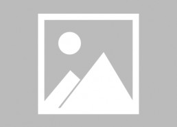 吃瓜八卦娱乐圈陈哲远,娱乐圈吃瓜达人，揭秘明星幕后故事