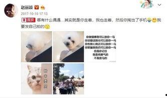 娱乐吃瓜别当真,吃瓜群众，娱乐新闻背后的真相