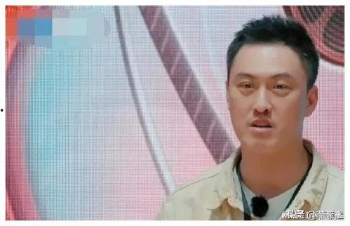 娱乐圈吃瓜爆料周杰伦是谁,娱乐圈吃瓜爆料中的焦点人物